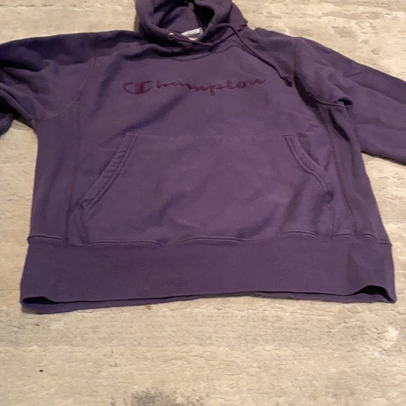 Champion - Picture 4 of 5